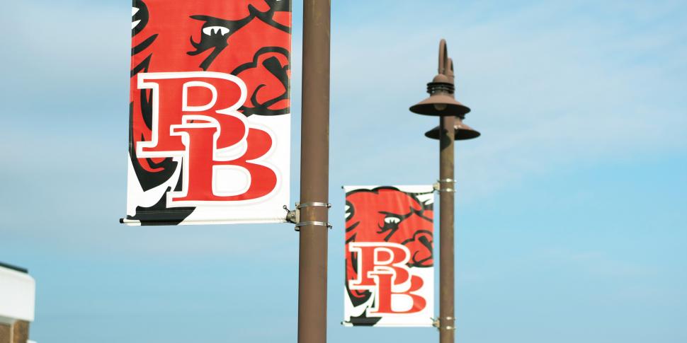 Pole Banners
