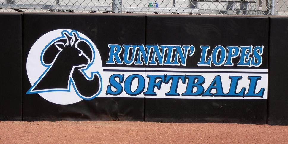Backstop Padding