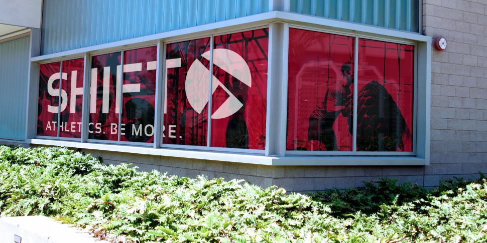 Window Graphics
