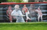 Fence Graphics
